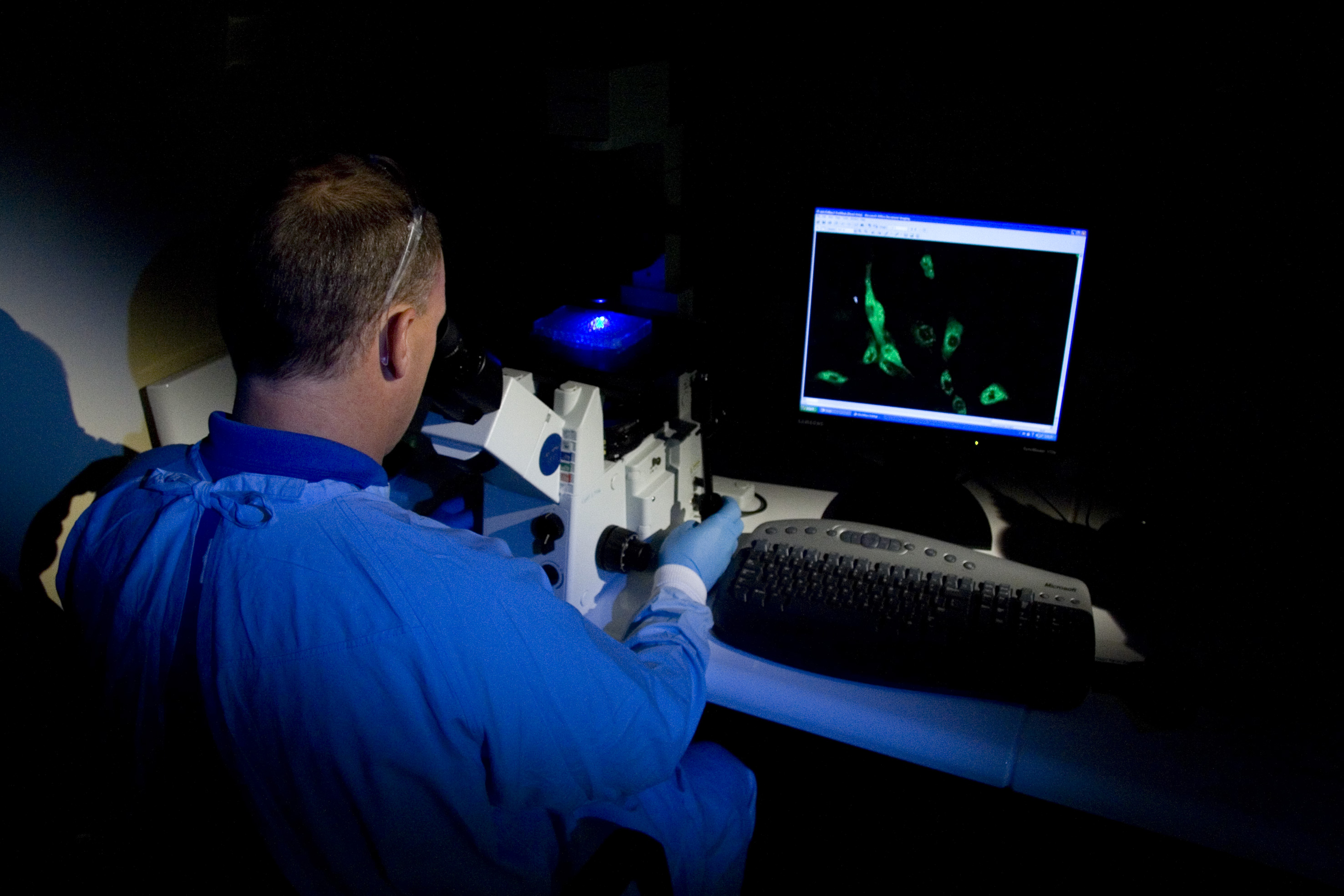 CSIRO ScienceImage 7962 Scientist in the laboratory at AAHL.jpg