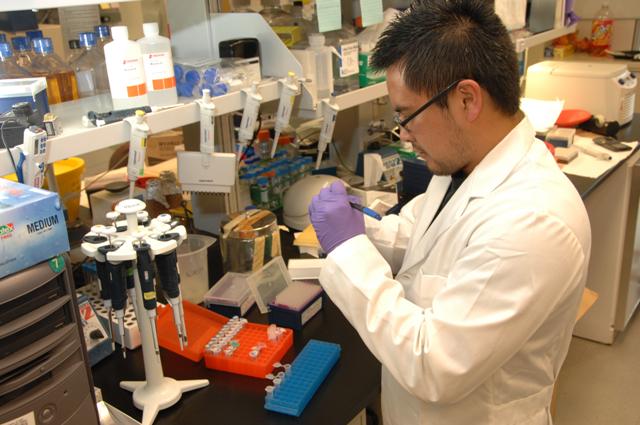 Medical Laboratory Scientist US NIH.jpg